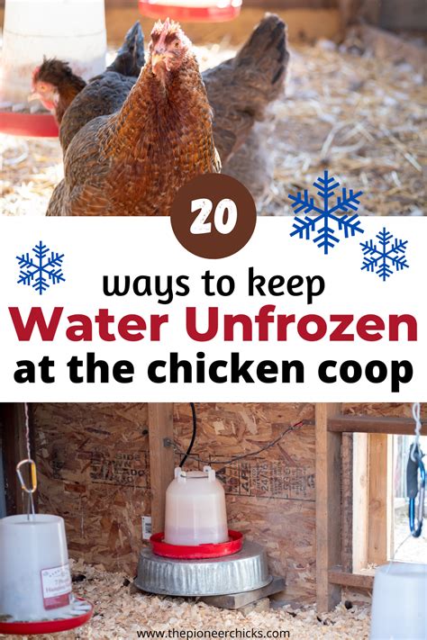 3 Ways to Play Chicken in Water .